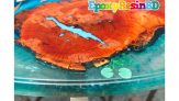 Epoxy Resin Table in Bangladesh